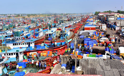 Fish market2